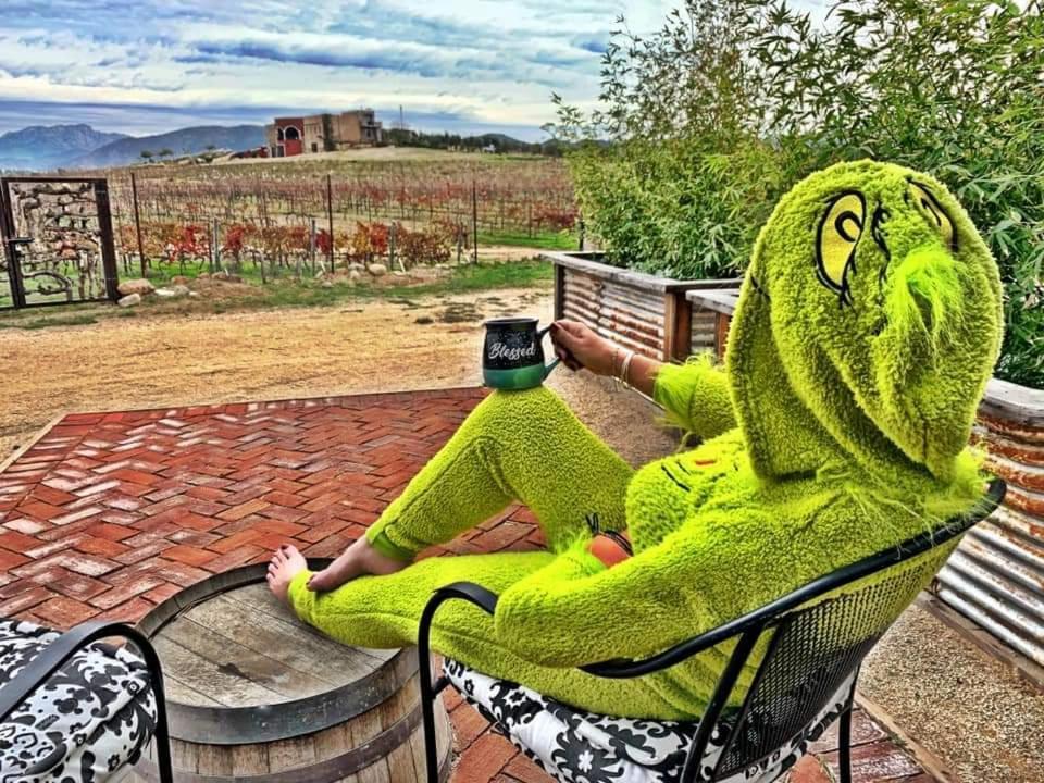 Finca Vidandrei CASA MAZAHUA Valle de Guadalupe Exteriör bild
