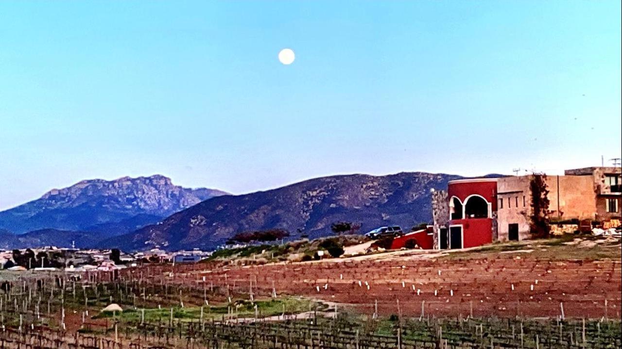 Finca Vidandrei CASA MAZAHUA Valle de Guadalupe Exteriör bild