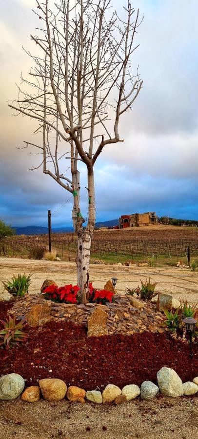 Finca Vidandrei CASA MAZAHUA Valle de Guadalupe Exteriör bild