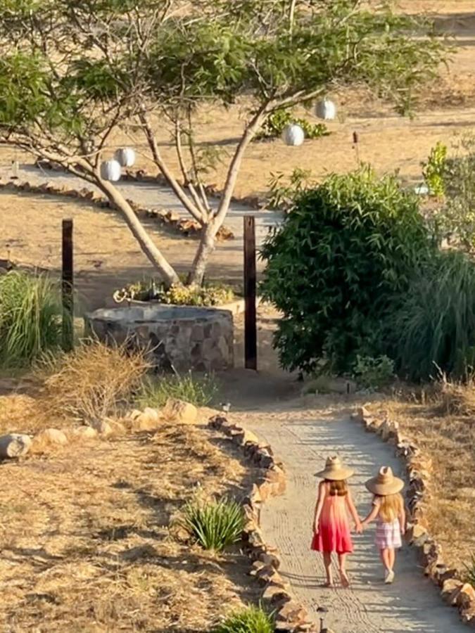Finca Vidandrei CASA MAZAHUA Valle de Guadalupe Exteriör bild